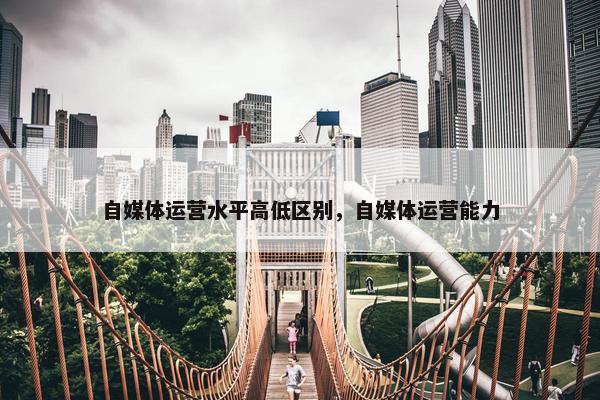 自媒体运营水平高低区别，自媒体运营能力