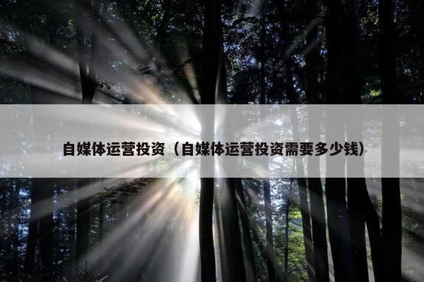 自媒体运营投资（自媒体运营投资需要多少钱）