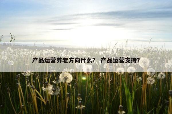 产品运营养老方向什么？ 产品运营支持？