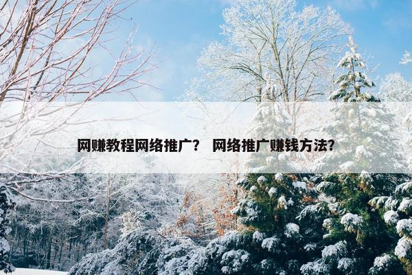 网赚教程网络推广？ 网络推广赚钱方法？