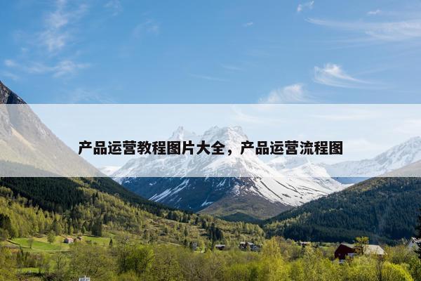 产品运营教程图片大全,产品运营流程图 产品运营教程图片大全,产品运营流程图