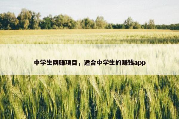 中学生网赚项目，适合中学生的赚钱app