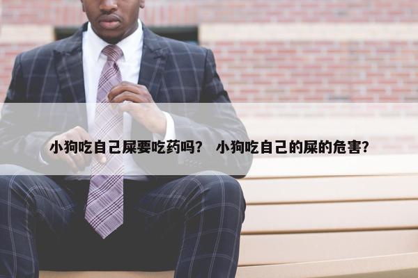 小狗吃自己屎要吃药吗？ 小狗吃自己的屎的危害？