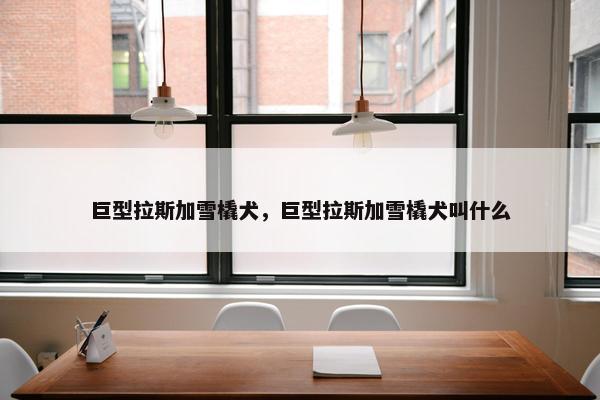 巨型拉斯加雪橇犬，巨型拉斯加雪橇犬叫什么