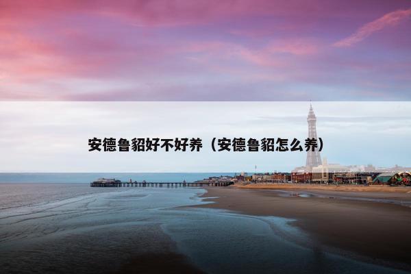 安德鲁貂好不好养（安德鲁貂怎么养）