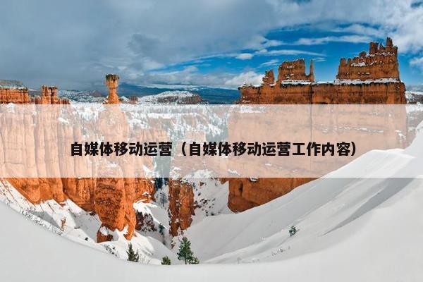 自媒体移动运营（自媒体移动运营工作内容）