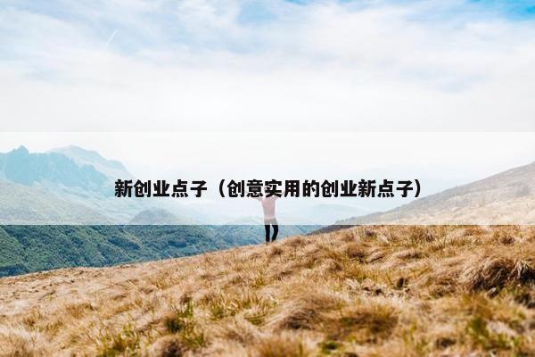 新创业点子（创意实用的创业新点子）