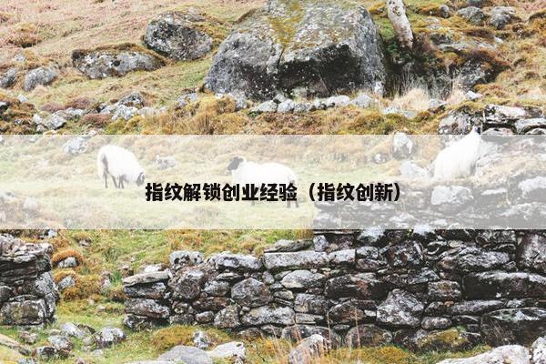指纹解锁创业经验（指纹创新）