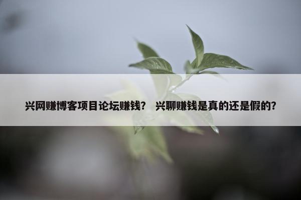 兴网赚博客项目论坛赚钱？ 兴聊赚钱是真的还是假的？