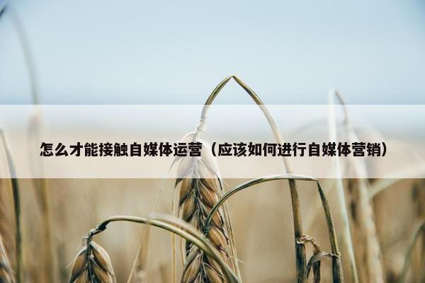 怎么才能接触自媒体运营（应该如何进行自媒体营销）