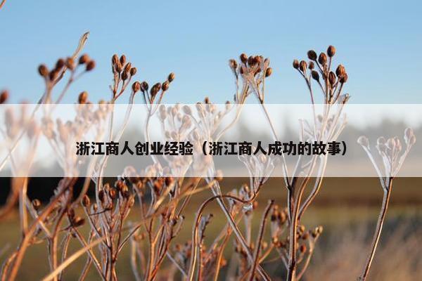 浙江商人创业经验（浙江商人成功的故事）