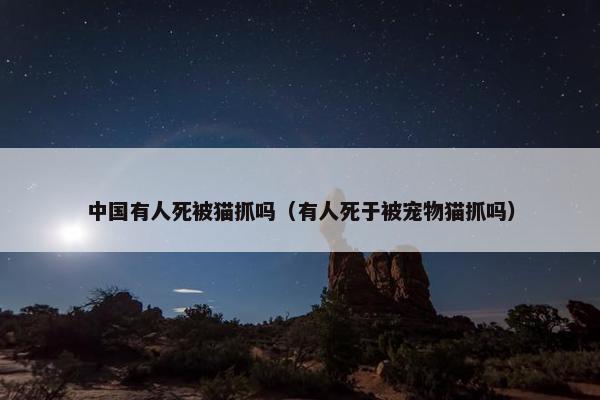 中国有人死被猫抓吗（有人死于被宠物猫抓吗）