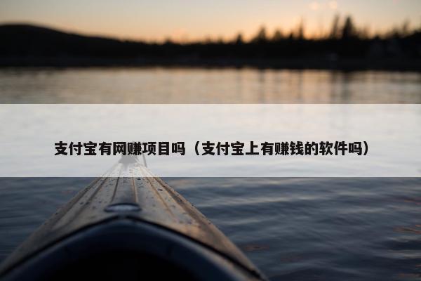 支付宝有网赚项目吗（支付宝上有赚钱的软件吗）