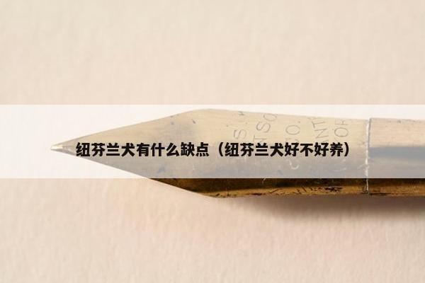 纽芬兰犬有什么缺点（纽芬兰犬好不好养）