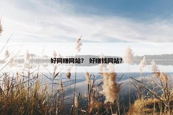 好网赚网站？ 好赚钱网站？