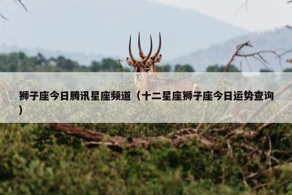 狮子座今日腾讯星座频道（十二星座狮子座今日运势查询）