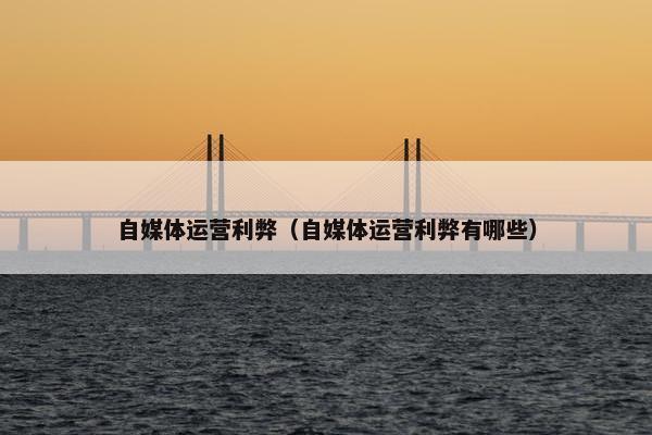 自媒体运营利弊（自媒体运营利弊有哪些）