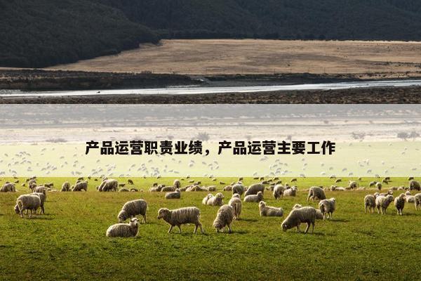 产品运营职责业绩，产品运营主要工作