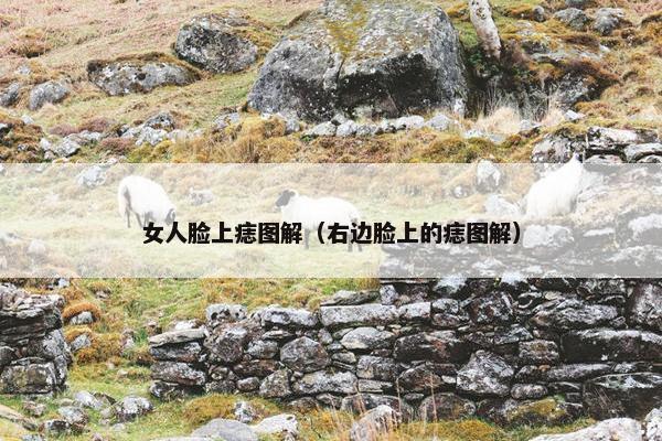 女人脸上痣图解（右边脸上的痣图解）