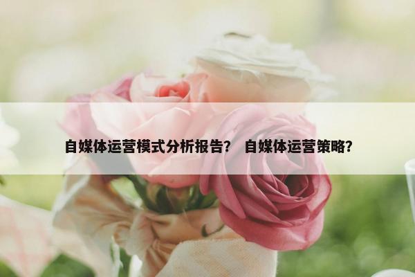 自媒体运营模式分析报告? 自媒体运营策略? 自媒体运营模式分析报告? 自媒体运营策略?