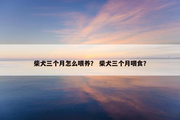 柴犬三个月怎么喂养？ 柴犬三个月喂食？