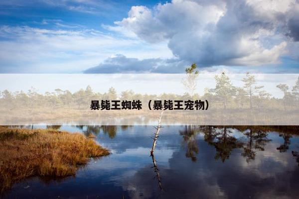 暴毙王蜘蛛（暴毙王宠物）