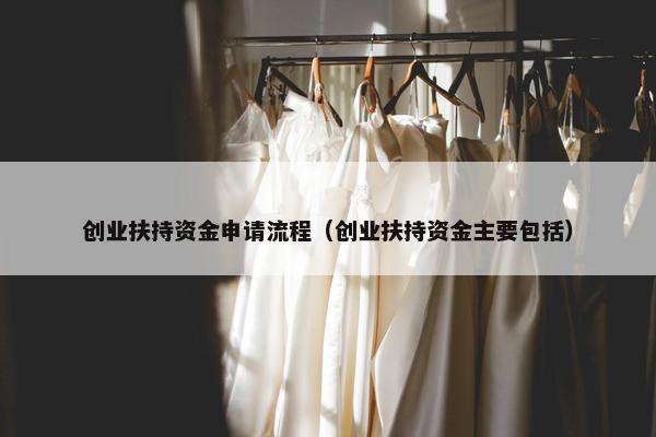 创业扶持资金申请流程（创业扶持资金主要包括）