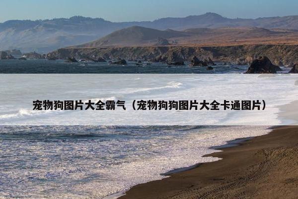 宠物狗图片大全霸气（宠物狗狗图片大全卡通图片）