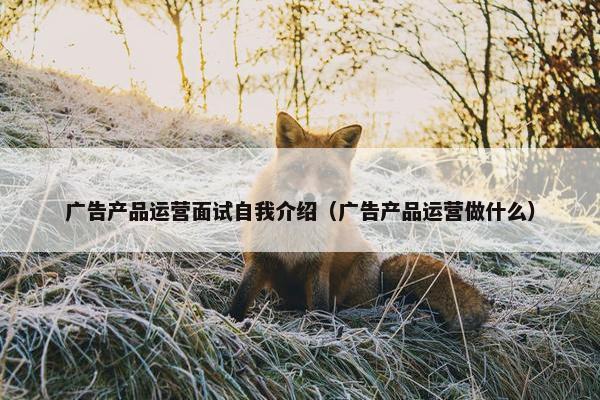 广告产品运营面试自我介绍（广告产品运营做什么）