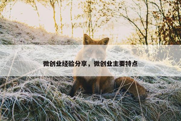 微创业经验分享,微创业主要特点 微创业经验分享,微创业主要特点