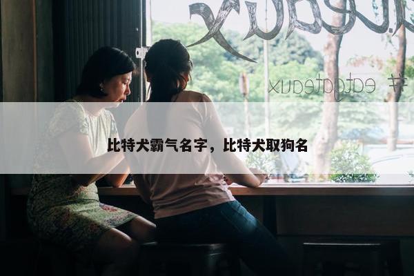 比特犬霸气名字,比特犬取狗名 比特犬霸气名字,比特犬取狗名