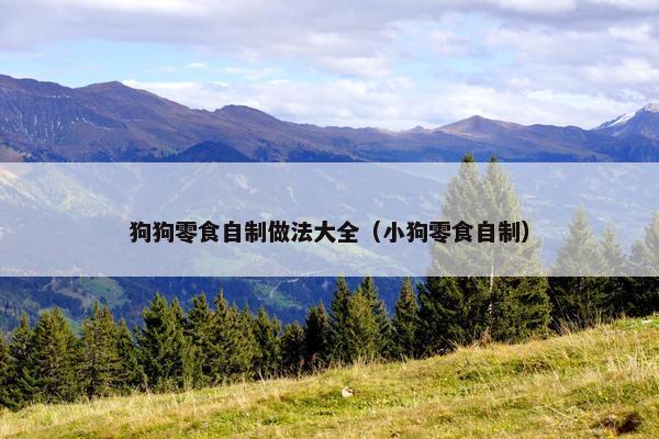 狗狗零食自制做法大全（小狗零食自制）