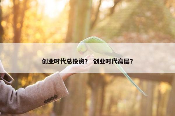 创业时代总投资？ 创业时代高层？