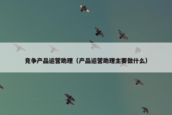 竞争产品运营助理（产品运营助理主要做什么）