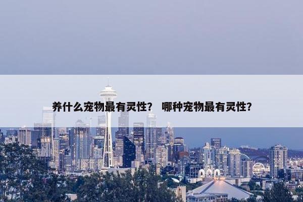 养什么宠物最有灵性？ 哪种宠物最有灵性？