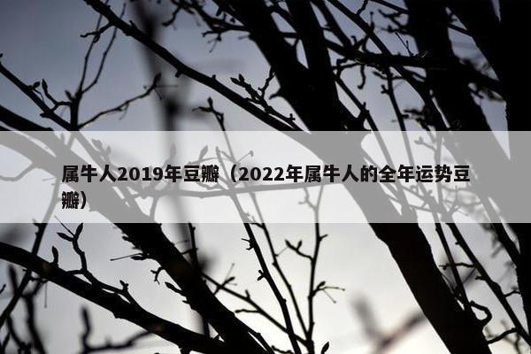 属牛人2019年豆瓣（2022年属牛人的全年运势豆瓣）