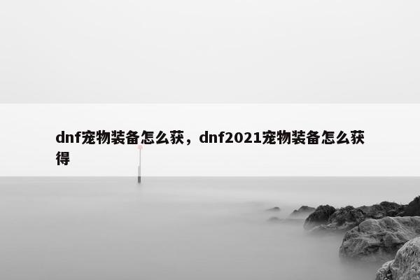 dnf宠物装备怎么获，dnf2021宠物装备怎么获得