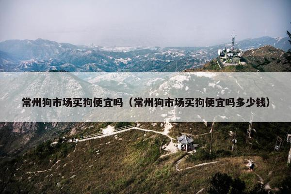 常州狗市场买狗便宜吗（常州狗市场买狗便宜吗多少钱）