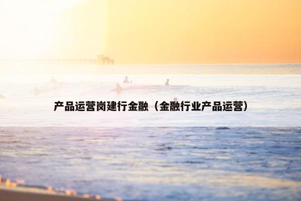 产品运营岗建行金融（金融行业产品运营）