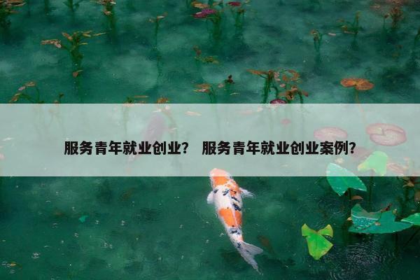 服务青年就业创业？ 服务青年就业创业案例？