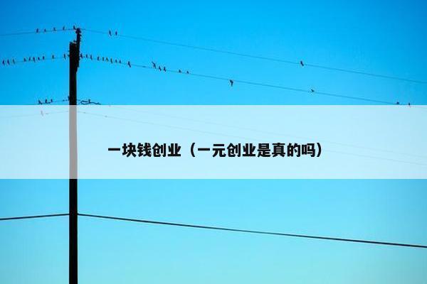 一块钱创业（一元创业是真的吗）