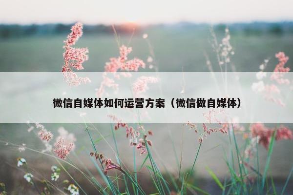 微信自媒体如何运营方案（微信做自媒体）