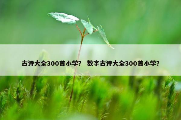 古诗大全300首小学？ 数字古诗大全300首小学？
