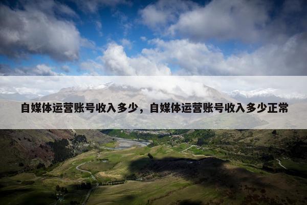 自媒体运营账号收入多少，自媒体运营账号收入多少正常