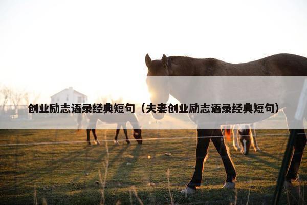 创业励志语录经典短句（夫妻创业励志语录经典短句）