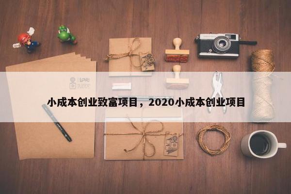 小成本创业致富项目，2020小成本创业项目