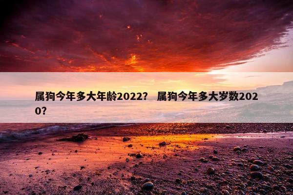 属狗今年多大年龄2022？ 属狗今年多大岁数2020？
