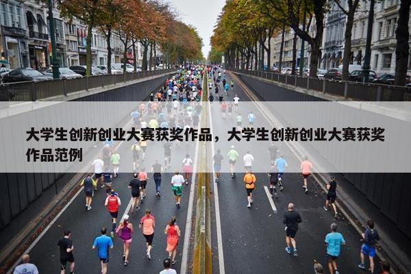 大学生创新创业大赛获奖作品，大学生创新创业大赛获奖作品范例