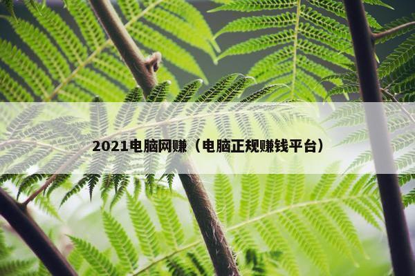 2021电脑网赚（电脑正规赚钱平台）