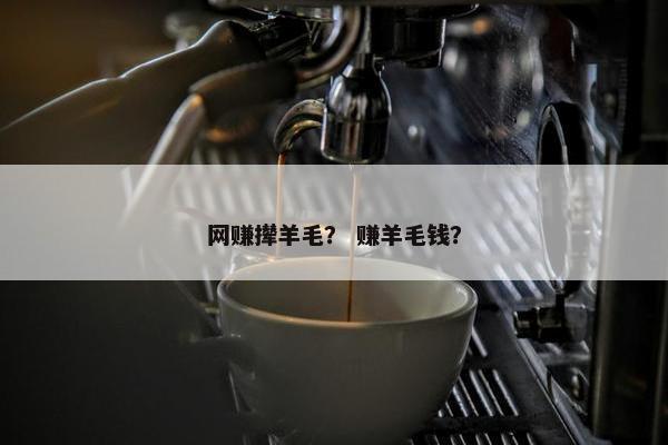 网赚撵羊毛？ 赚羊毛钱？